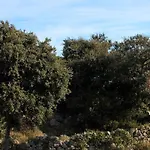 By The Sea Razanj, - 4838 아파트 로고즈니차