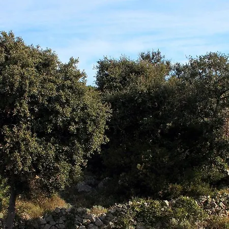 By The Sea Razanj, - 4838 Apartman Rogoznica