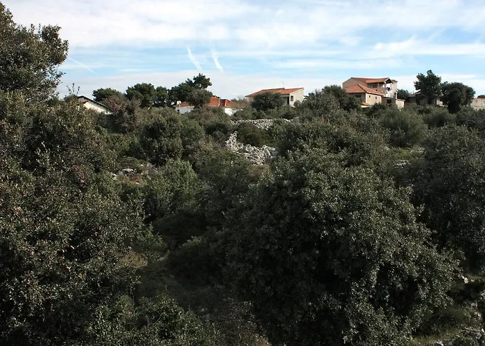 Appartement By The Sea Razanj, - 4838