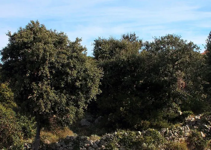 By The Sea Razanj, - 4838 Appartement Rogoznica (Sibenik-Knin)